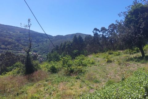 Helårsgrund i Ponte de Lima, Viana do Castelo, Ponte de Lima - € 59.000 | Ref: 5967 - foto 2