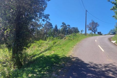 Helårsgrund i Ponte de Lima, Viana do Castelo, Ponte de Lima - € 59.000 | Ref: 5967 - foto 3