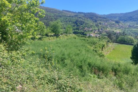Helårsgrund i Ponte de Lima, Viana do Castelo, Ponte de Lima - € 59.000 | Ref: 5967 - foto 5