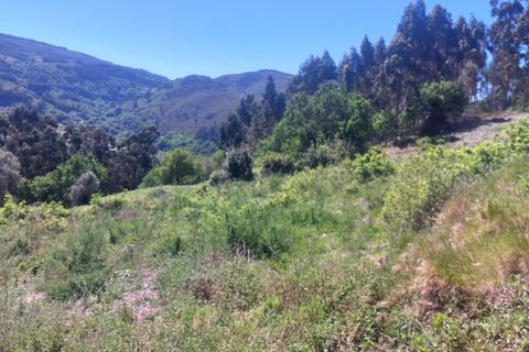 Helårsgrund i Ponte de Lima, Viana do Castelo, Ponte de Lima - € 59.000 | Ref: 5967 - foto 7