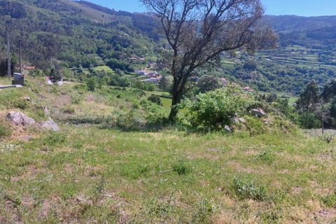 Helårsgrund i Ponte de Lima, Viana do Castelo, Ponte de Lima - € 59.000 | Ref: 5967 - foto 8