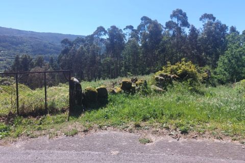 Helårsgrund i Ponte de Lima, Viana do Castelo, Ponte de Lima - € 59.000 | Ref: 5967 - foto 10
