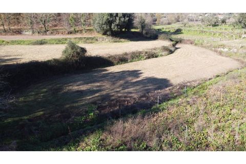 Tomt i Ponte de Lima, Viana do Castelo, Ponte de Lima - € 9 900 | Ref: 5581 - foto 3