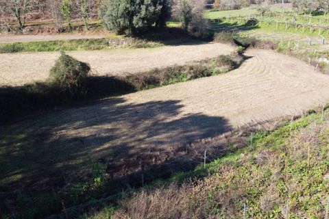 Tomt i Ponte de Lima, Viana do Castelo, Ponte de Lima - € 9 900 | Ref: 5581 - foto 4