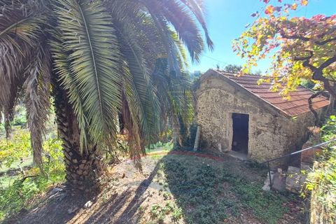 Villa i Ponte de Lima, Viana do Castelo, Ponte de Lima - € 198.000 | Ref: 6235 - foto 2
