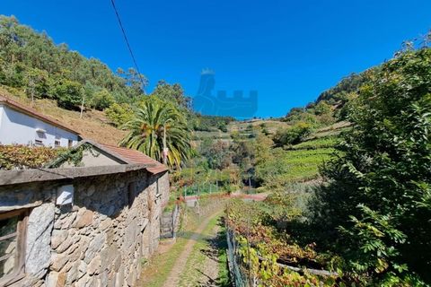Villa i Ponte de Lima, Viana do Castelo, Ponte de Lima - € 198.000 | Ref: 6235 - foto 7