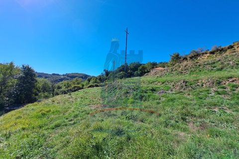 Villa i Ponte de Lima, Viana do Castelo, Ponte de Lima - € 198.000 | Ref: 6235 - foto 22