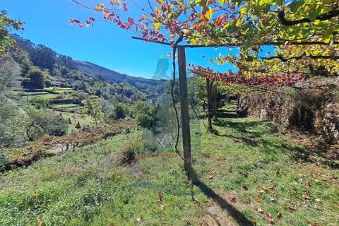 Villa i Ponte de Lima, Viana do Castelo, Ponte de Lima - € 198.000 | Ref: 6235 - foto 4