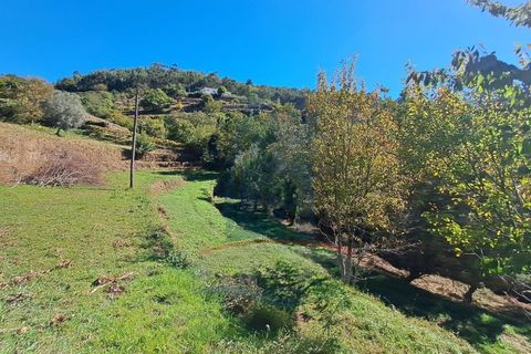 Villa i Ponte de Lima, Viana do Castelo, Ponte de Lima - € 198.000 | Ref: 6235 - foto 8