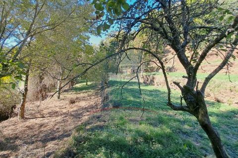 Villa i Ponte de Lima, Viana do Castelo, Ponte de Lima - € 198.000 | Ref: 6235 - foto 10