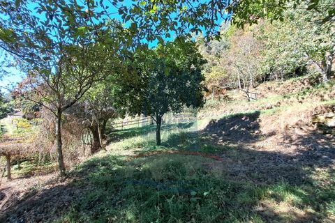 Villa i Ponte de Lima, Viana do Castelo, Ponte de Lima - € 198.000 | Ref: 6235 - foto 11