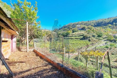 Villa i Ponte de Lima, Viana do Castelo, Ponte de Lima - € 198.000 | Ref: 6235 - foto 21