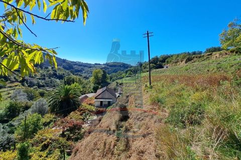 Villa i Ponte de Lima, Viana do Castelo, Ponte de Lima - € 198.000 | Ref: 6235 - foto 23
