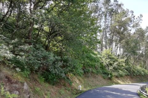 Helårsgrund i Ponte de Lima, Viana do Castelo, Ponte de Lima - € 15.000 | Ref: 5358 - foto 2