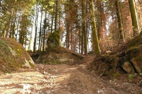 Helårsgrund i Ponte de Lima, Viana do Castelo, Ponte de Lima - € 9.000 | Ref: 4872 - foto 3