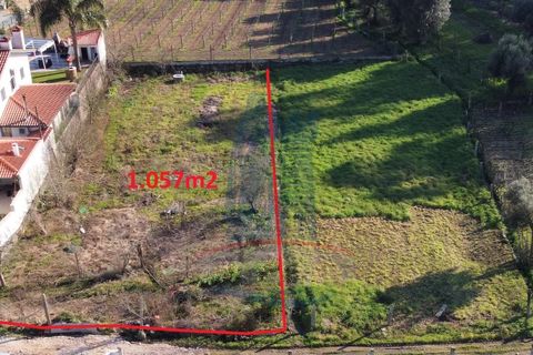 Helårsgrund i Ponte de Lima, Viana do Castelo, Ponte de Lima - € 70.000 | Ref: 6075 - foto 2