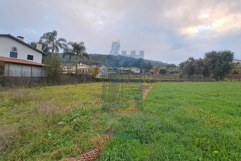 Helårsgrund i Ponte de Lima, Viana do Castelo, Ponte de Lima - € 70.000 | Ref: 6075 - foto 3