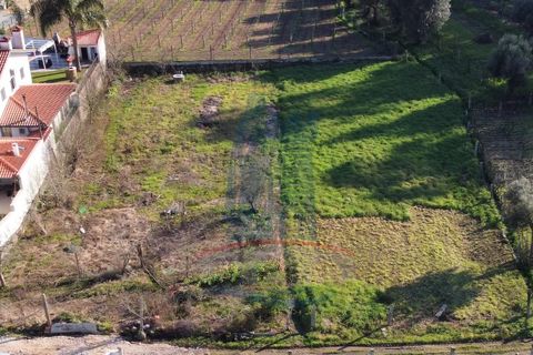 Helårsgrund i Ponte de Lima, Viana do Castelo, Ponte de Lima - € 70.000 | Ref: 6075 - foto 5