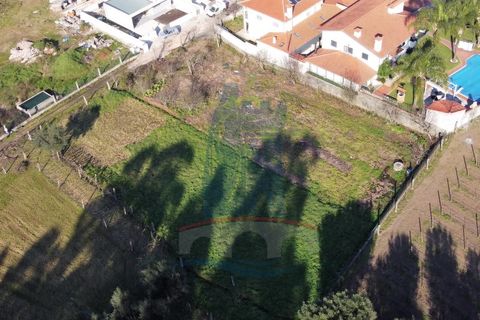 Helårsgrund i Ponte de Lima, Viana do Castelo, Ponte de Lima - € 70.000 | Ref: 6075 - foto 6