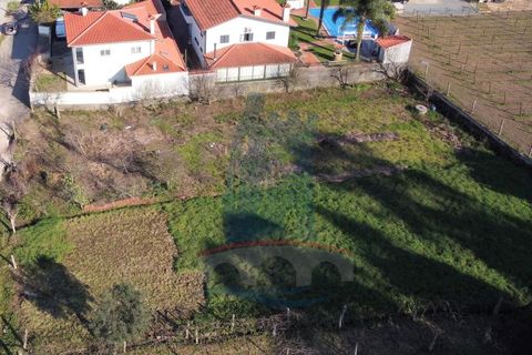 Helårsgrund i Ponte de Lima, Viana do Castelo, Ponte de Lima - € 70.000 | Ref: 6075 - foto 7