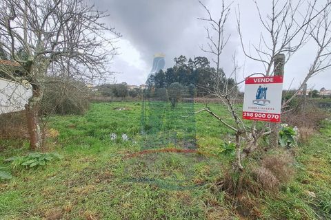 Helårsgrund i Ponte de Lima, Viana do Castelo, Ponte de Lima - € 70.000 | Ref: 6075 - foto 9