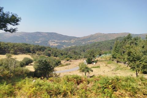 Helårsgrund i Ponte de Lima, Viana do Castelo, Ponte de Lima - € 30.000 | Ref: 6213 - foto 2