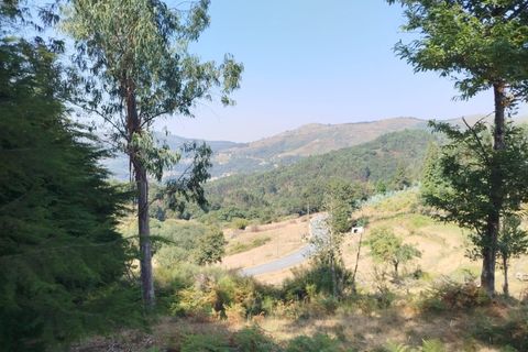 Helårsgrund i Ponte de Lima, Viana do Castelo, Ponte de Lima - € 30.000 | Ref: 6213 - foto 3