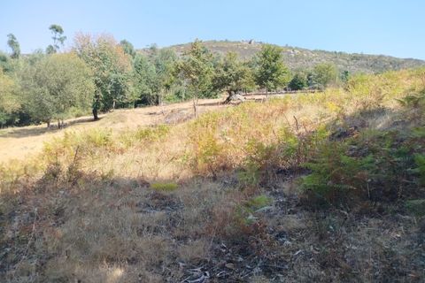 Helårsgrund i Ponte de Lima, Viana do Castelo, Ponte de Lima - € 30.000 | Ref: 6213 - foto 4
