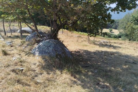 Helårsgrund i Ponte de Lima, Viana do Castelo, Ponte de Lima - € 30.000 | Ref: 6213 - foto 5