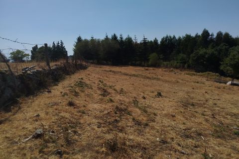 Helårsgrund i Ponte de Lima, Viana do Castelo, Ponte de Lima - € 30.000 | Ref: 6213 - foto 6