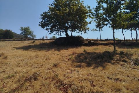 Helårsgrund i Ponte de Lima, Viana do Castelo, Ponte de Lima - € 30.000 | Ref: 6213 - foto 7
