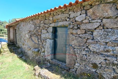 Villa i Ponte de Lima, Viana do Castelo, Ponte de Lima - € 80.000 | Ref: 6209 - foto 1