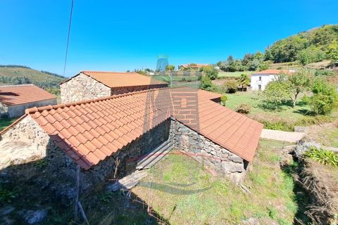 Villa i Ponte de Lima, Viana do Castelo, Ponte de Lima - € 80.000 | Ref: 6209 - foto 4