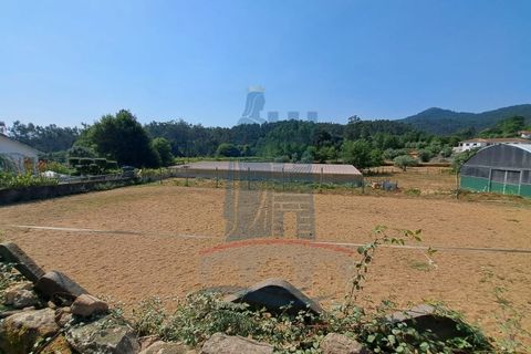 Helårsgrund i Ponte de Lima, Viana do Castelo, Ponte de Lima - € 14.500 | Ref: 6224 - foto 2