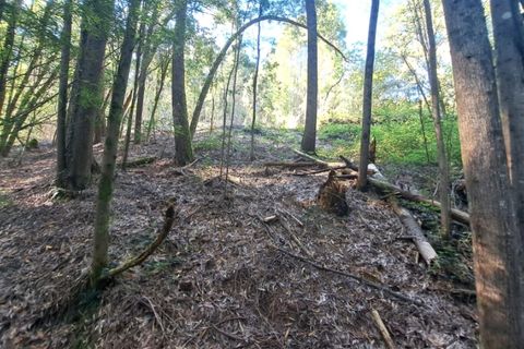 Helårsgrund i Ponte de Lima, Viana do Castelo, Ponte de Lima - € 24.000 | Ref: 6056 - foto 4