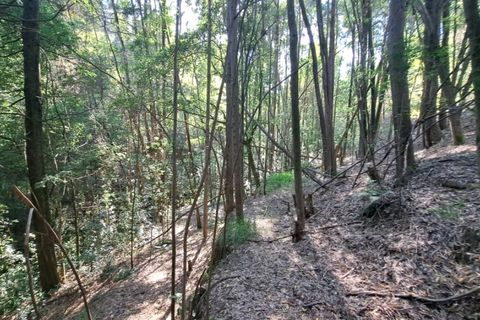Helårsgrund i Ponte de Lima, Viana do Castelo, Ponte de Lima - € 24.000 | Ref: 6056 - foto 8
