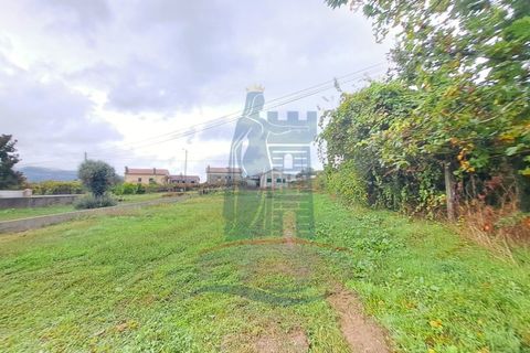 Farm i Ponte de Lima, Viana do Castelo, Ponte de Lima - € 243.000 | Ref: 6037 - foto 3