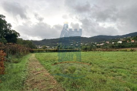 Farm i Ponte de Lima, Viana do Castelo, Ponte de Lima - € 243.000 | Ref: 6037 - foto 4