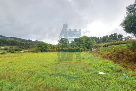 Farm i Ponte de Lima, Viana do Castelo, Ponte de Lima - € 243.000 | Ref: 6037 - foto 12
