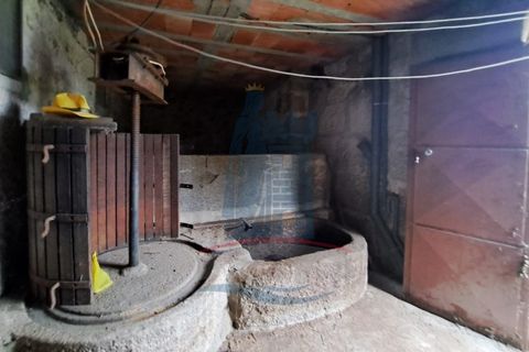 Farm i Ponte de Lima, Viana do Castelo, Ponte de Lima - € 243.000 | Ref: 6037 - foto 9