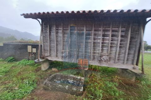 Farm i Ponte de Lima, Viana do Castelo, Ponte de Lima - € 243.000 | Ref: 6037 - foto 10