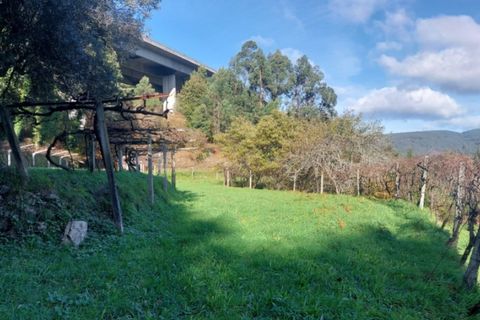 Helårsgrund i Ponte de Lima, Viana do Castelo, Ponte de Lima - € 18.500 | Ref: 5923 - foto 2