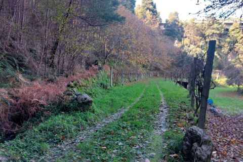 Helårsgrund i Ponte de Lima, Viana do Castelo, Ponte de Lima - € 18.500 | Ref: 5923 - foto 3
