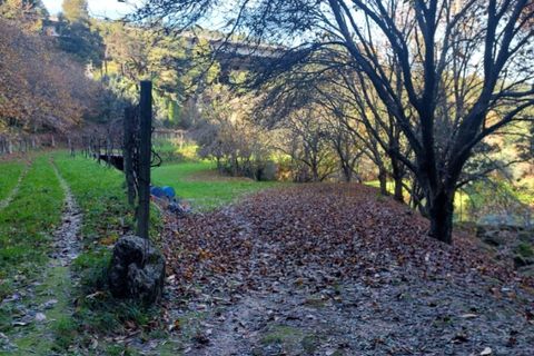 Helårsgrund i Ponte de Lima, Viana do Castelo, Ponte de Lima - € 18.500 | Ref: 5923 - foto 4