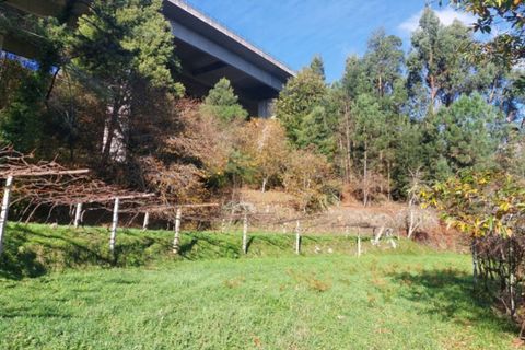 Helårsgrund i Ponte de Lima, Viana do Castelo, Ponte de Lima - € 18.500 | Ref: 5923 - foto 7
