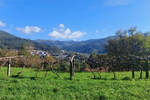 Helårsgrund i Ponte de Lima, Viana do Castelo, Ponte de Lima - € 18.500 | Ref: 5923 - foto 9