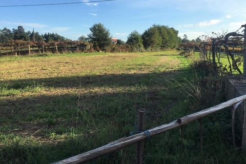 Helårsgrund i Ponte de Lima, Viana do Castelo, Ponte de Lima - € 56.000 | Ref: 5772 - foto 2