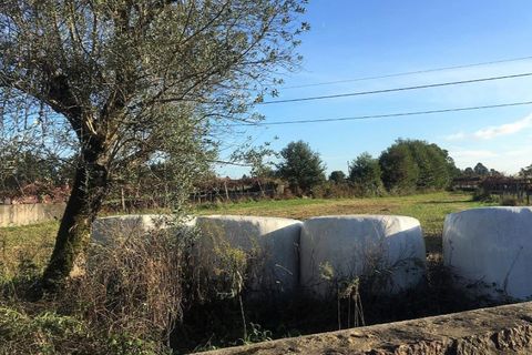 Helårsgrund i Ponte de Lima, Viana do Castelo, Ponte de Lima - € 56.000 | Ref: 5772 - foto 4