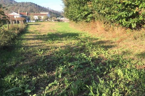 Helårsgrund i Ponte de Lima, Viana do Castelo, Ponte de Lima - € 56.000 | Ref: 5772 - foto 5