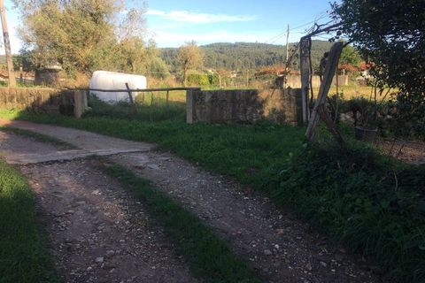 Helårsgrund i Ponte de Lima, Viana do Castelo, Ponte de Lima - € 56.000 | Ref: 5772 - foto 7